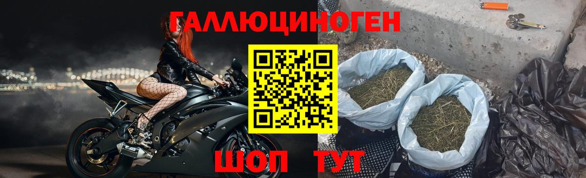 Псилоцибиновые грибы Cubensis  Вход с VPN  Псилоцибиновые грибы Psilocybine cubensis  Кушва 